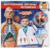 Набор для проведения опытов Внутренние органы человека KY-10001 Маленький ученый