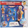 Набор для проведения опытов Внутренние органы человека KY-10001 Маленький ученый