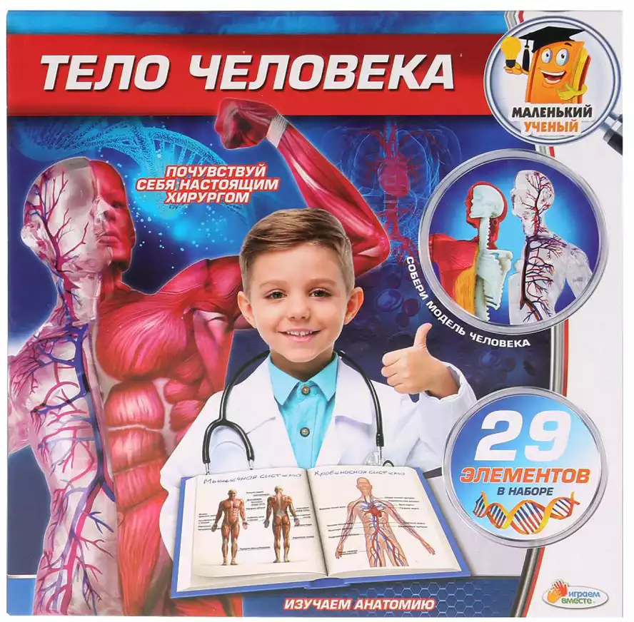 Набор для проведения опытов Тело человека KY-10002 Маленький ученый