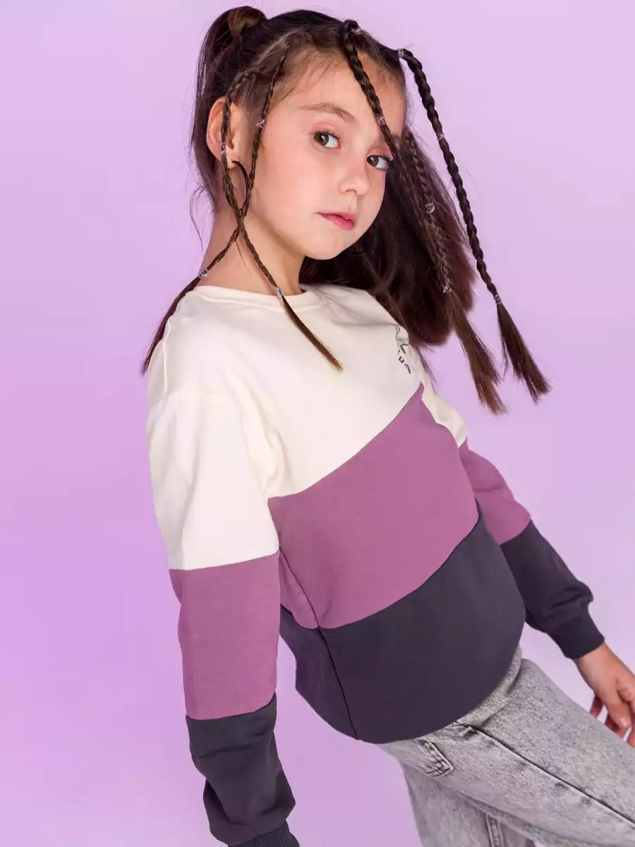 Свитшот 2007AW21 Vulpes