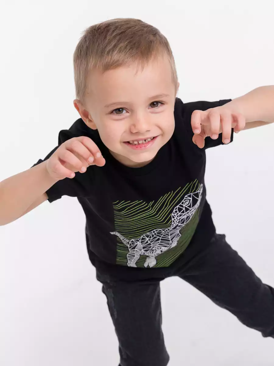 Футболка 1590AW21 Vulpes