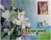 Алмазная мозаика 40*50 4016 Талисман