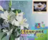 Алмазная мозаика 40*50 YSP21092 Загадочно