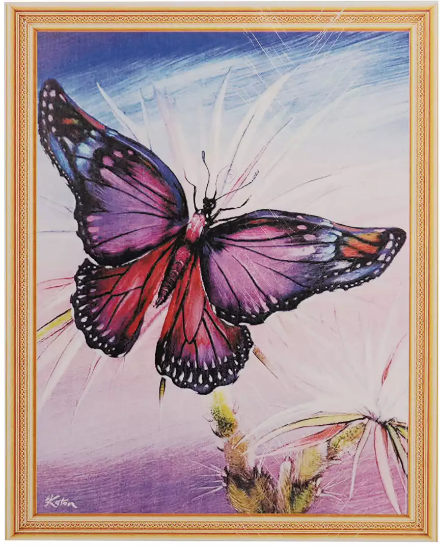 Алмазная мозаика 40*50 GB74703 История одной бабочки