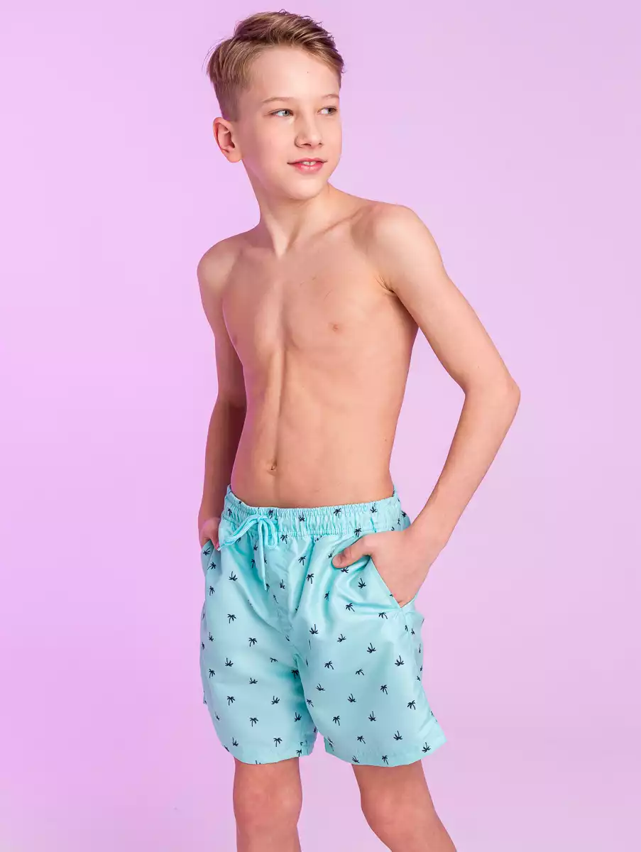 Плавки купальные для мальчика Vulpes 058D-1860D