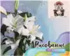 Рисование по номерам 40*50 GX32220 Приятного чаепития