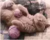 Рисование по номерам 40*50 GX32932 Безмятежность
