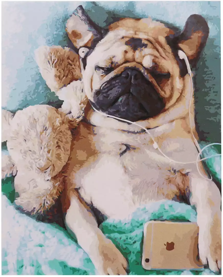 Рисование по номерам 40*50 GX34027 Не будить !