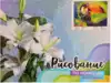 Рисование по номерам 30*40 GX39019 Тукан