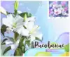 Рисование по номерам 40*50 GX39174 Нежные краски