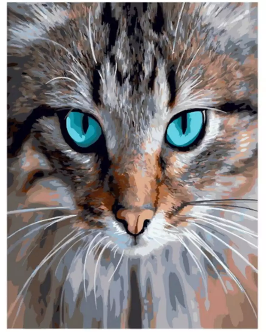 Рисование по номерам 40*50 GX40018 Интрига