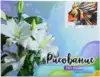 Рисование по номерам 30*40 GX40220 Цветное настроение