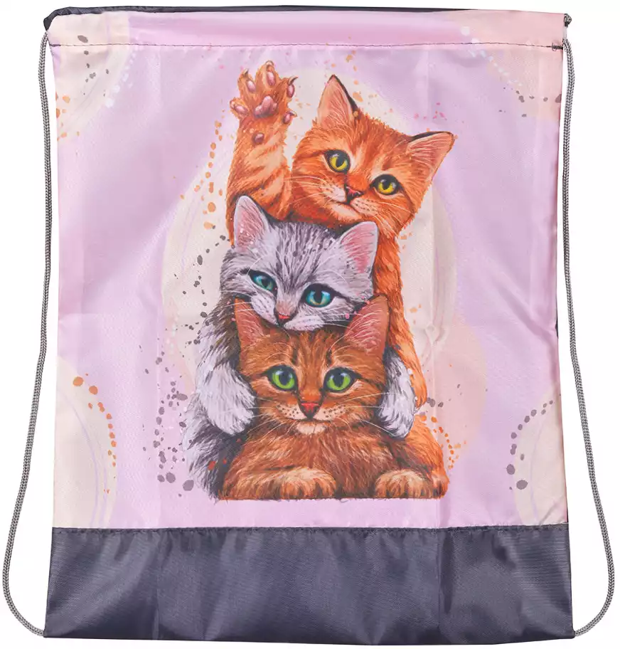 Сумка для сменной обуви THREE KITTENS СДС-3