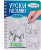 Скетчбук Уроки рисования по шагам Животные 64-6638