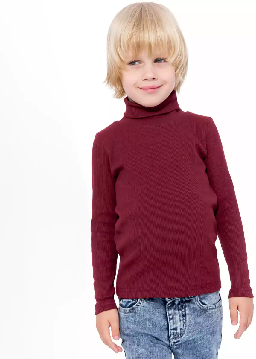 Водолазка 1668/1AW22 Vulpes