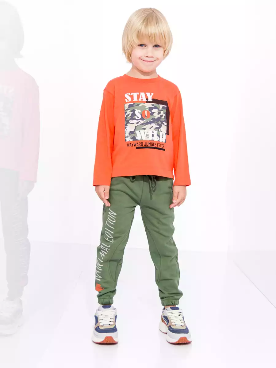 Брюки 1671AW22 Vulpes