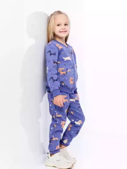 Брюки 1666AW22 Vulpes