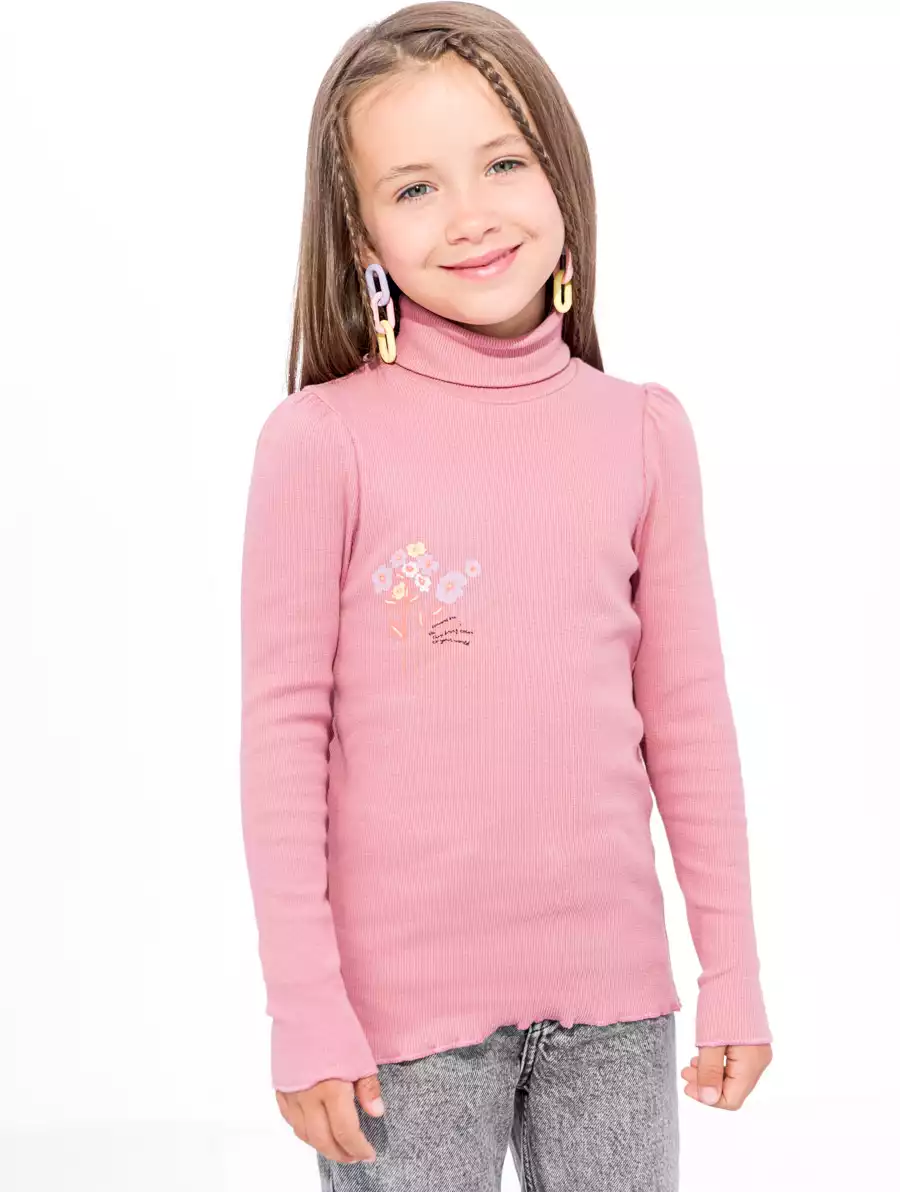 Водолазка 1648/1.1AW22 Vulpes