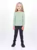 Лонгслив 1210AW22 Vulpes
