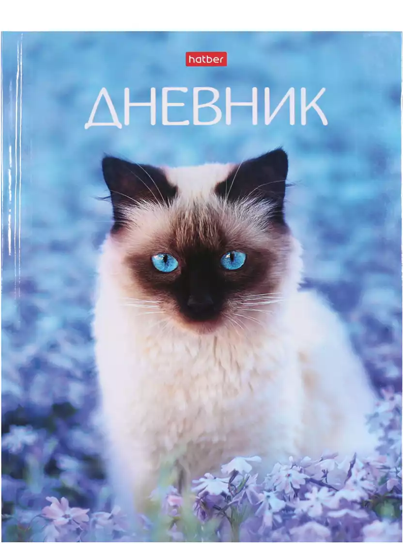 Дневник школьный КотЭлло 074563 40ДТ5В_27142