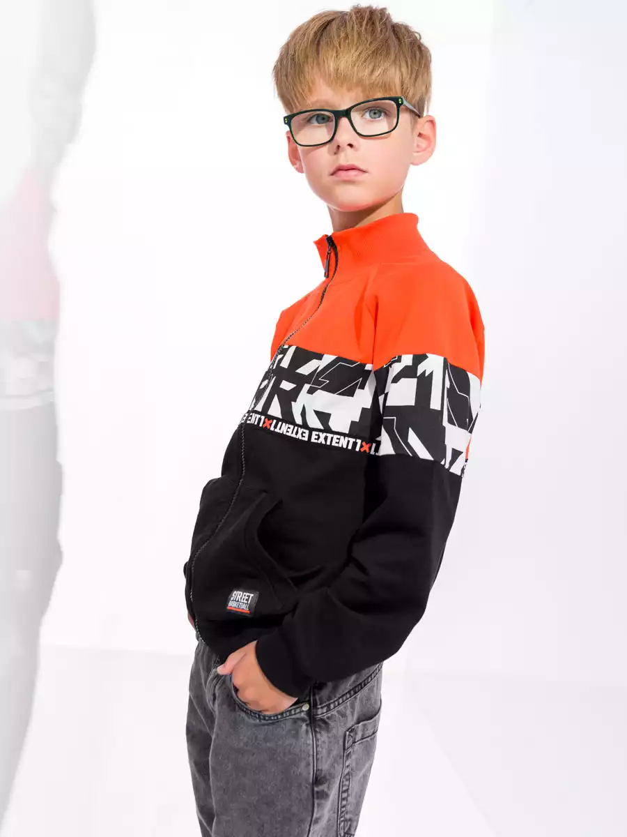 Толстовка 825AW22.1 Vulpes