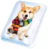 Мое мыло Набор №4 Собака в шарфе 982004