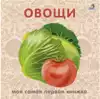 Книга Овощи 12 стр 9785436607542 Моя самая первая книжка