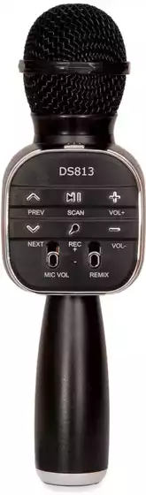Игрушка музыкальная Микрофон DS813