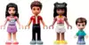 Конструктор Зоогостиница 41718 593 дет. LEGO Friends