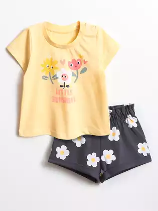 Набор 10241SS23 Vulpes