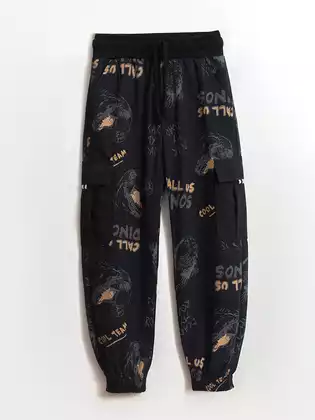 Брюки из поплина Vulpes