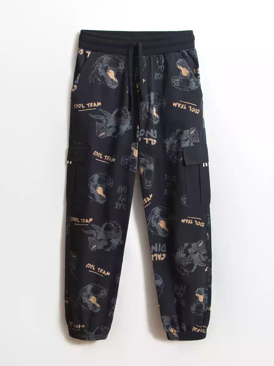 Брюки 10125/1SS25 Vulpes