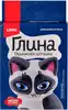 Игрушка из глины Домашний котенок Пз/Гл-001
