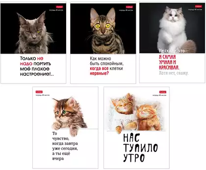 Тетрадь 48л клетка Котоюмор 48Т5В1 079790