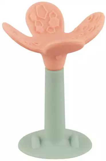 Прорезыватель Цветок Lubby
