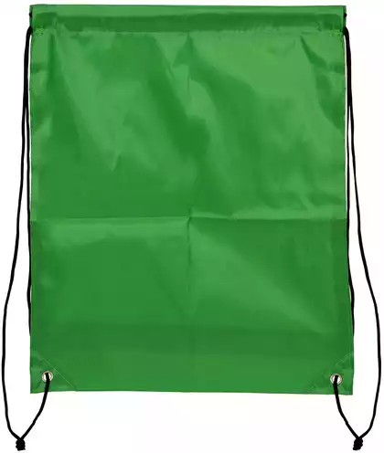 Сумка для обуви зеленая BAG23-g