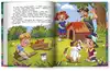 Книга Огромное сердце сказки о доброте и дружбе Е.Ю. Аксенова 48 стр 9785222363331
