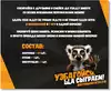 Настольная игра Узбагойся ща сыграем 04824 Десятое королевство