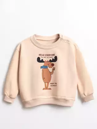 Свитшот 10825AW23 Vulpes