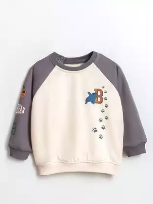 Свитшот 10826AW23 Vulpes