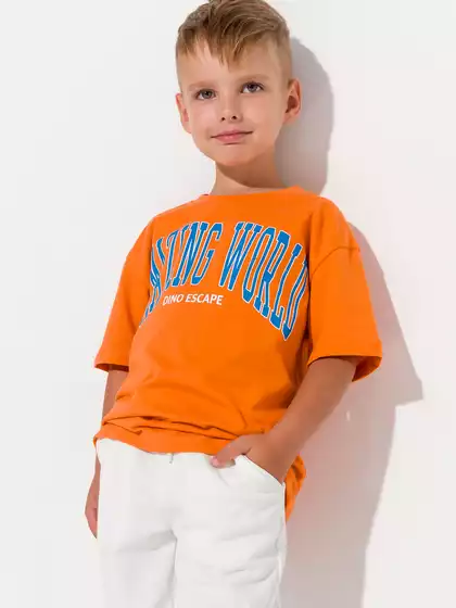 Футболка 10507AW23 Vulpes