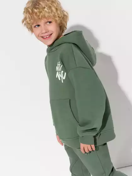 Худи 10953AW23 Vulpes