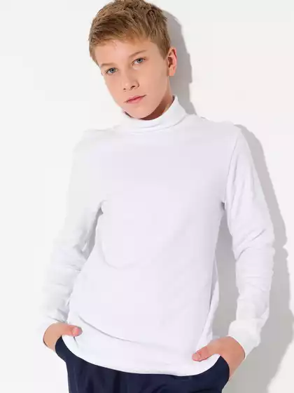 Базовая водолазка Vulpes