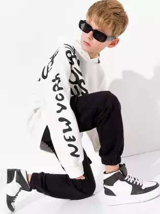 Худи 10988AW23 Vulpes