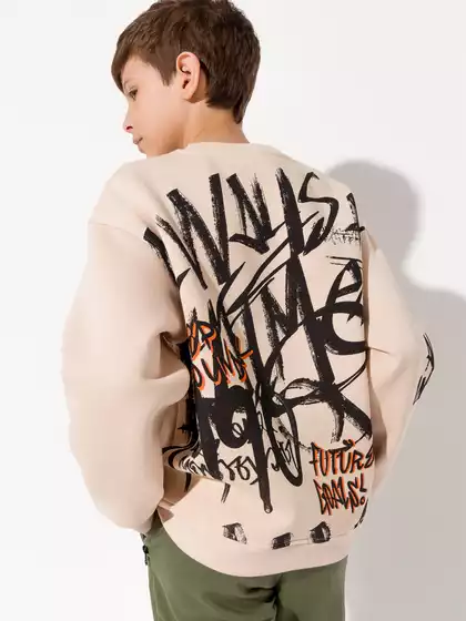 Свитшот 10627AW23 Vulpes