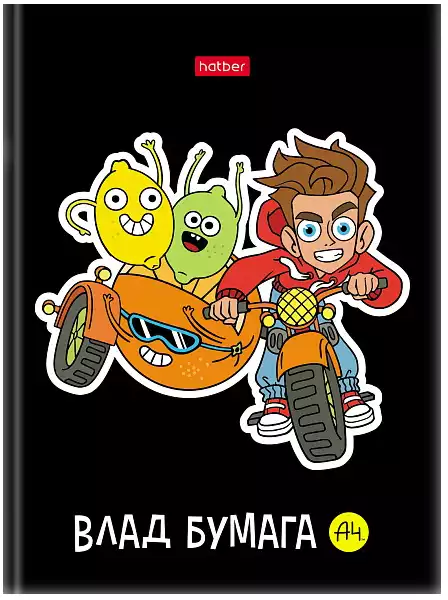 Записная книжка А6 48л Влад А4 клетка 082114 48ЗКт6В1_29941