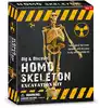 Набор для проведения раскопок Homo D7079