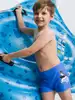 Плавки купальные для мальчика Vulpes 058D-4117D