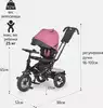 Велосипед EVOLUTION AIR WERTER BERGER трехколесный