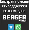 Велосипед EVOLUTION AIR WERTER BERGER трехколесный